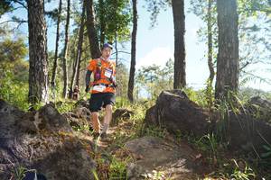 BIB: 
                            <button type="button" onclick="openModal(18916077)" class="btn btn-primary btn-sm float-right btn-popup" data-toggle="modal" data-target=".modal-high-quality">
                        <i class="fas fa-shopping-cart"></i> Add to Cart
                    </button>
                                            <button type="button" onclick="isThisMe(18916077, true)" class="btn btn-success btn-sm float-right btn-popup btn-isme hidden" data-toggle="tooltip" data-placement="bottom" title="นี่คือรูปของคุณใช่ไหม คลิกที่นี่เพื่อเอาเข้าอัลบั้ม">
                        <i class="fas fa-plus"></i> Add to album
                    </button>
                    <button type="button" onclick="isThisMe(18916077, false)" class="btn btn-warning btn-sm float-right btn-popup btn-isnotme hidden">
                        <i class="fas fa-ban"></i> Remove from album
                    </button>